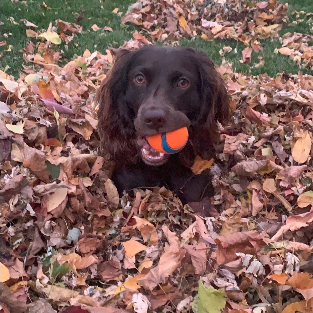 Meet your Posher, Elizabeth